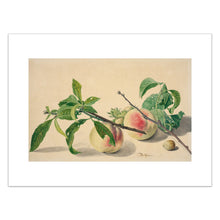 Load image into Gallery viewer, Michiel van Huysum, Still life with peaches and hazlenuts