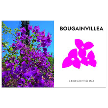 Load image into Gallery viewer, Super Bloom