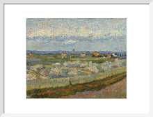Load image into Gallery viewer, Peach Trees in Blossom, 1889