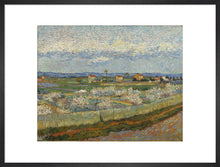 Load image into Gallery viewer, Peach Trees in Blossom, 1889