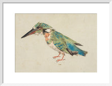 Load image into Gallery viewer, Italian School, Kingfisher