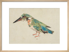 Load image into Gallery viewer, Italian School, Kingfisher