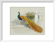 Load image into Gallery viewer, Myles Birket Foster, Peacock