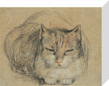 Load image into Gallery viewer, David Wilkie, Cat - study for 'The Cut Finger'