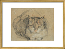 Load image into Gallery viewer, David Wilkie, Cat - study for 'The Cut Finger'