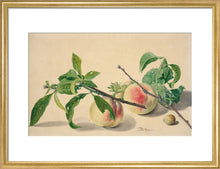 Load image into Gallery viewer, Michiel van Huysum, Still life with peaches and hazlenuts