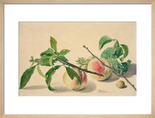 Load image into Gallery viewer, Michiel van Huysum, Still life with peaches and hazlenuts