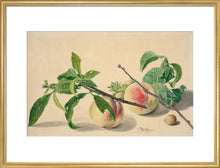 Load image into Gallery viewer, Michiel van Huysum, Still life with peaches and hazlenuts