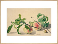 Load image into Gallery viewer, Michiel van Huysum, Still life with peaches and hazlenuts