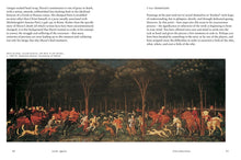 Load image into Gallery viewer, Look Again: How to Experience the Old Masters