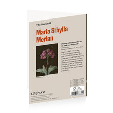 Load image into Gallery viewer, Merian Primula Greetings Card