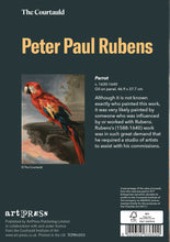Load image into Gallery viewer, Rubens Parrot Greetings Card