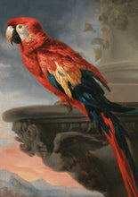 Load image into Gallery viewer, Rubens Parrot Greetings Card