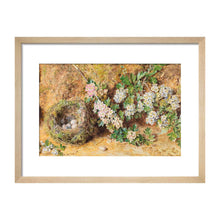 Load image into Gallery viewer, William Henry Hunt, Chaffinch Nest and May Blossom
