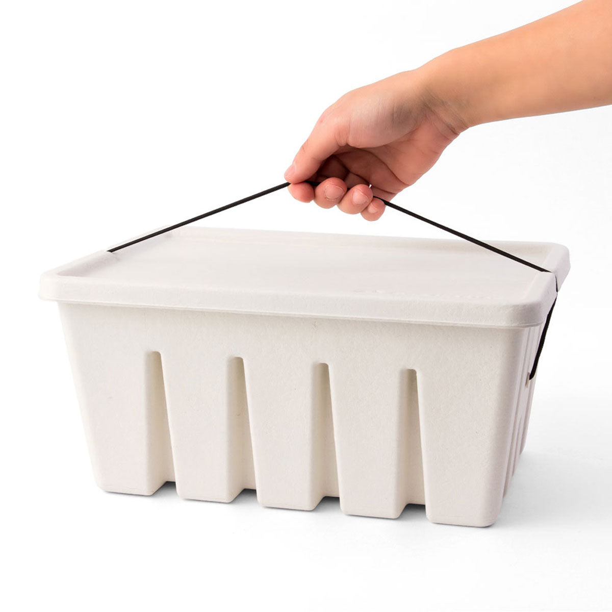 Storage Box White Pulp