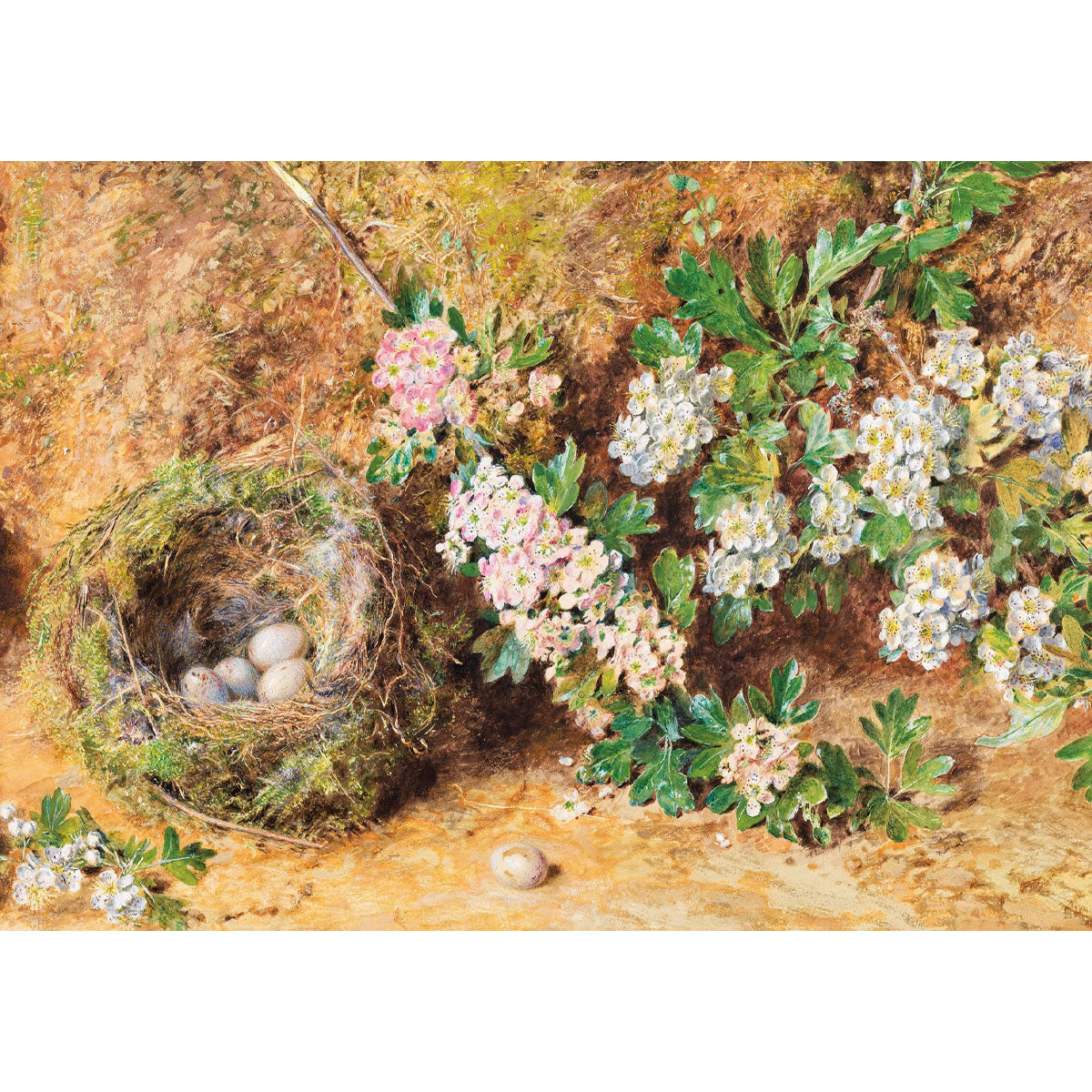 Greetings Card Hunt Chaffinch Nest and Blossom