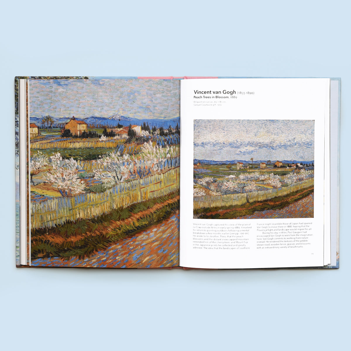 The Courtauld Highlights from the Gallery