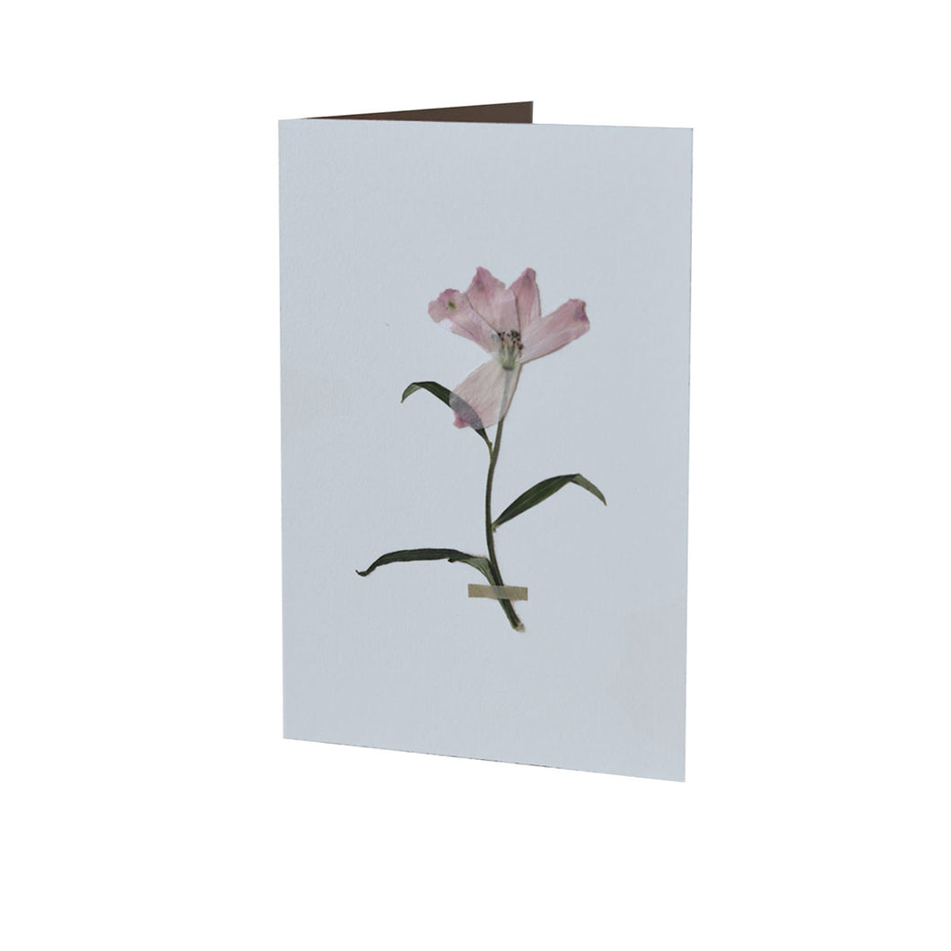 Pressed Flower Greetings Card Blue