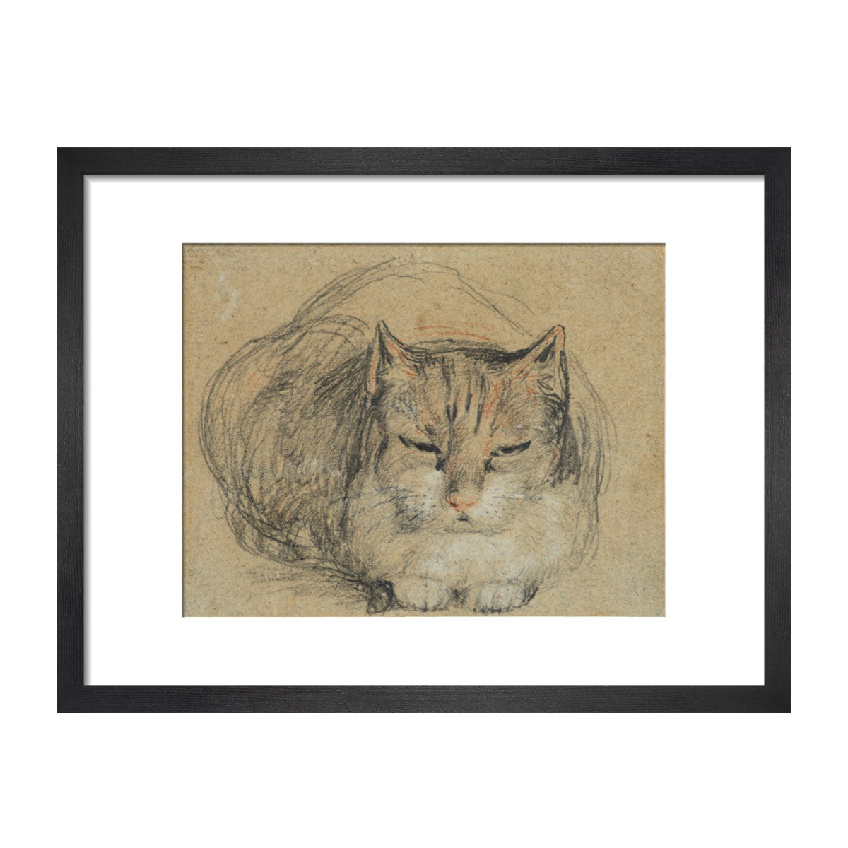 Cat - study for 'The Cut Finger'