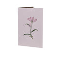 Pressed Flower Greetings Card Pink