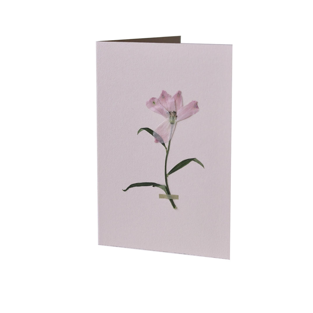 Pressed Flower Greetings Card Pink