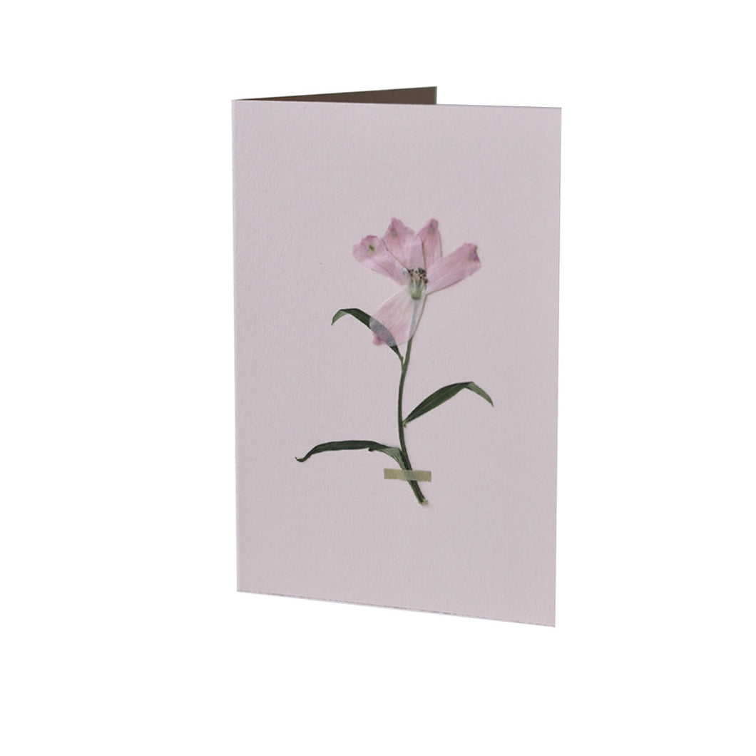 Pressed Flower Greetings Card Pink