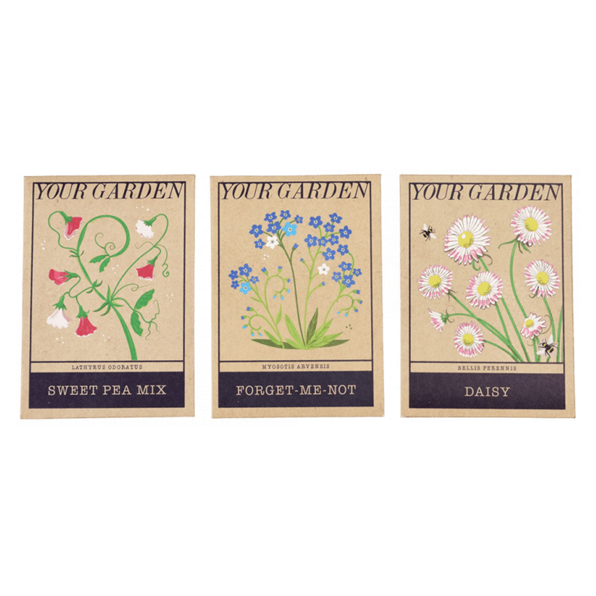 Flower Seeds