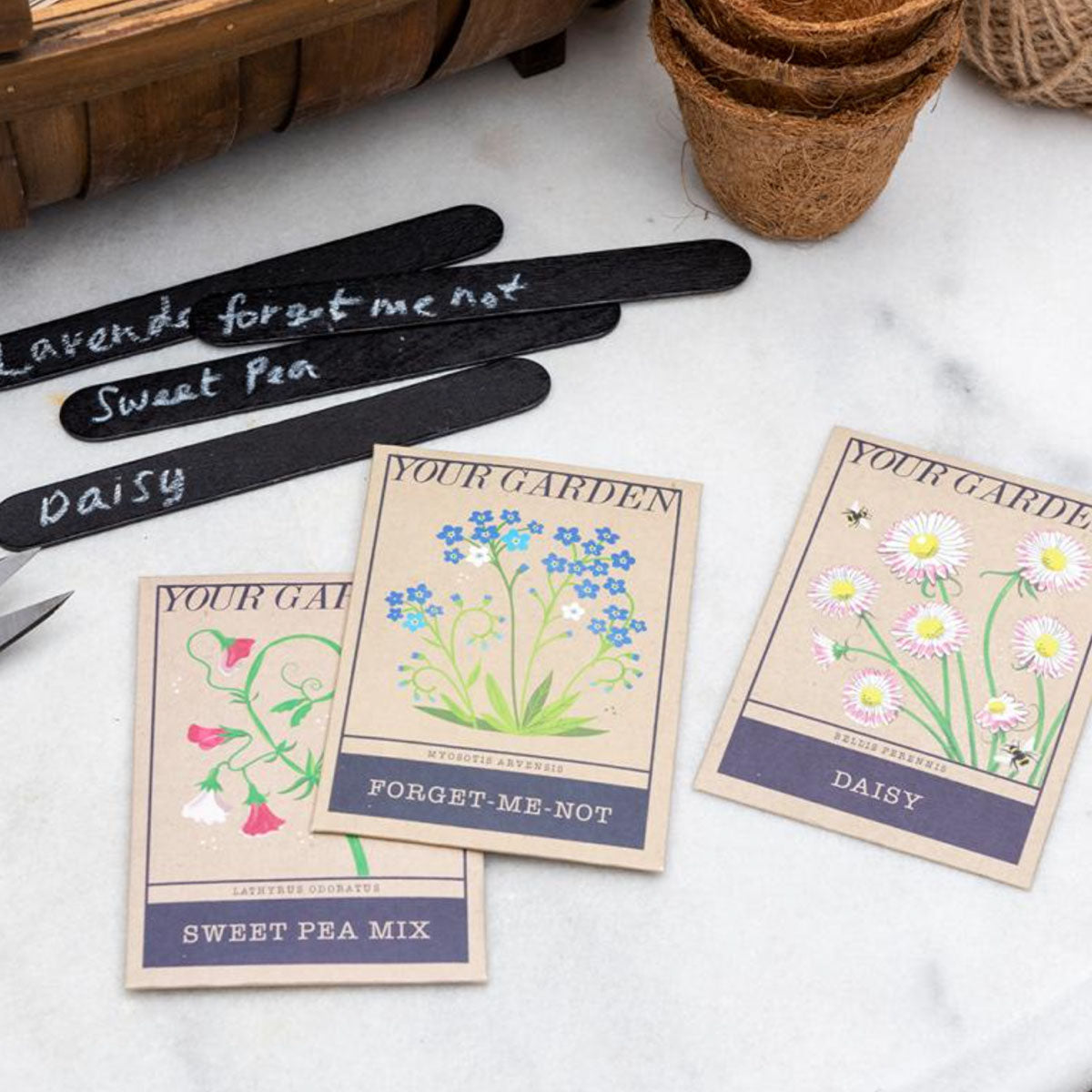 Flower Seeds