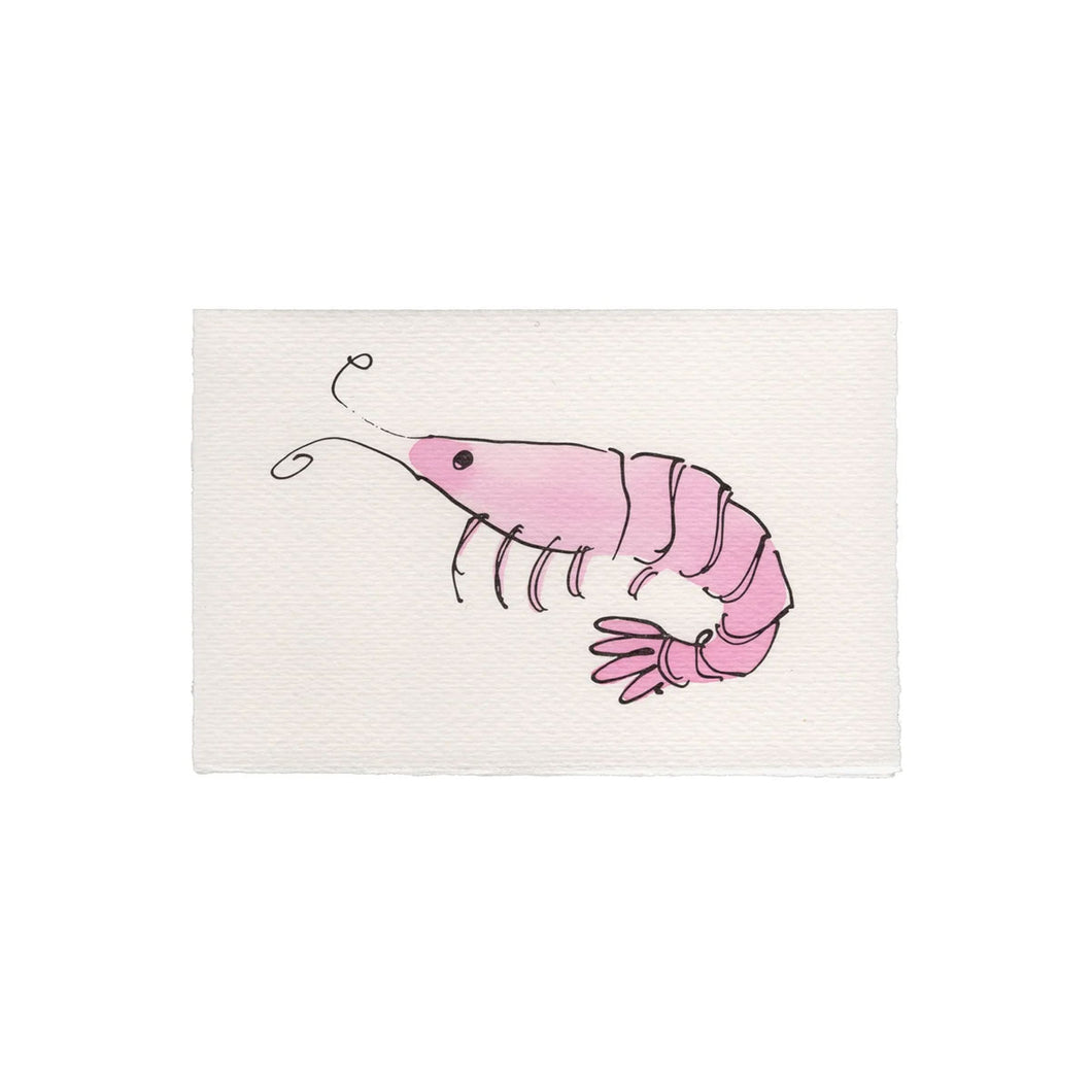 Greetings Card Shrimp