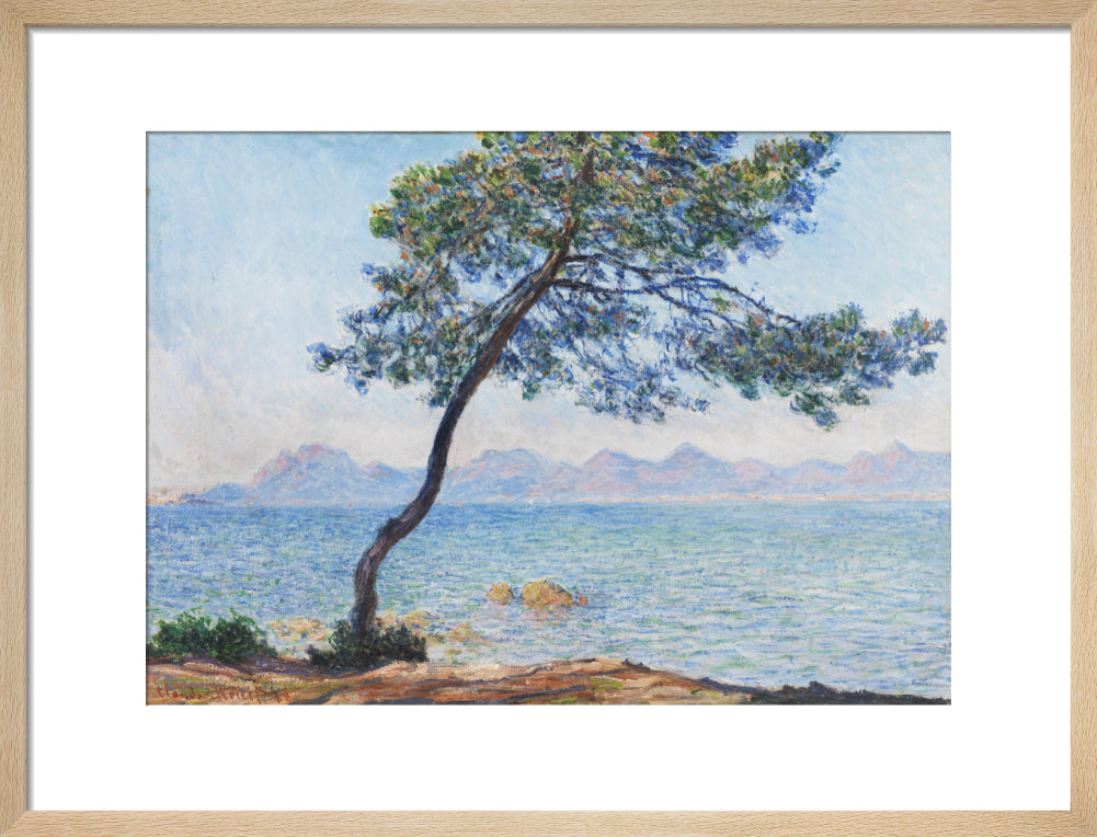 Antibes (art print, medium, natural)