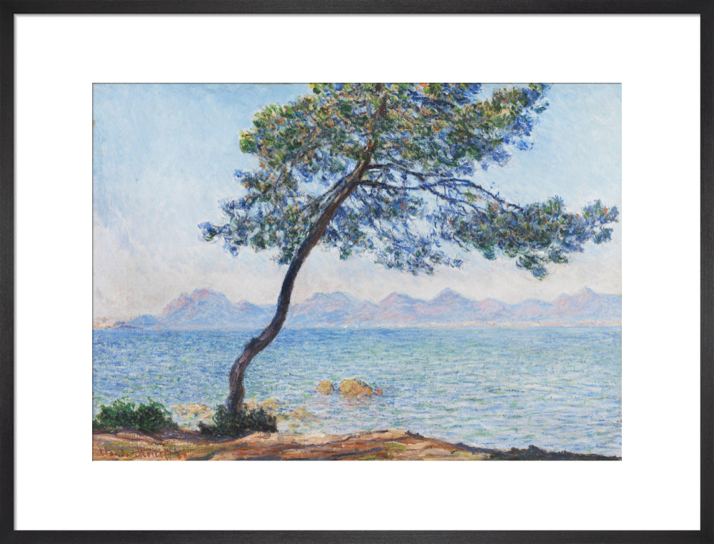 Antibes (art print, large, black)