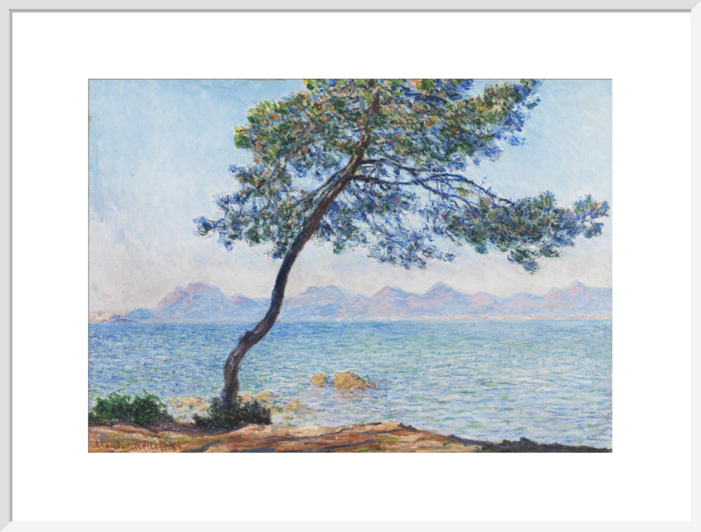 Antibes (art print, extra large, white)