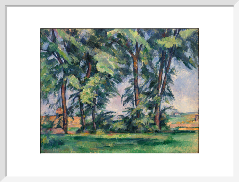 Tall Trees at the Jas de Bouffan (art print, medium, white)