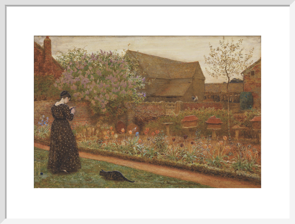 The Old Farm Garden (art print, large, white)