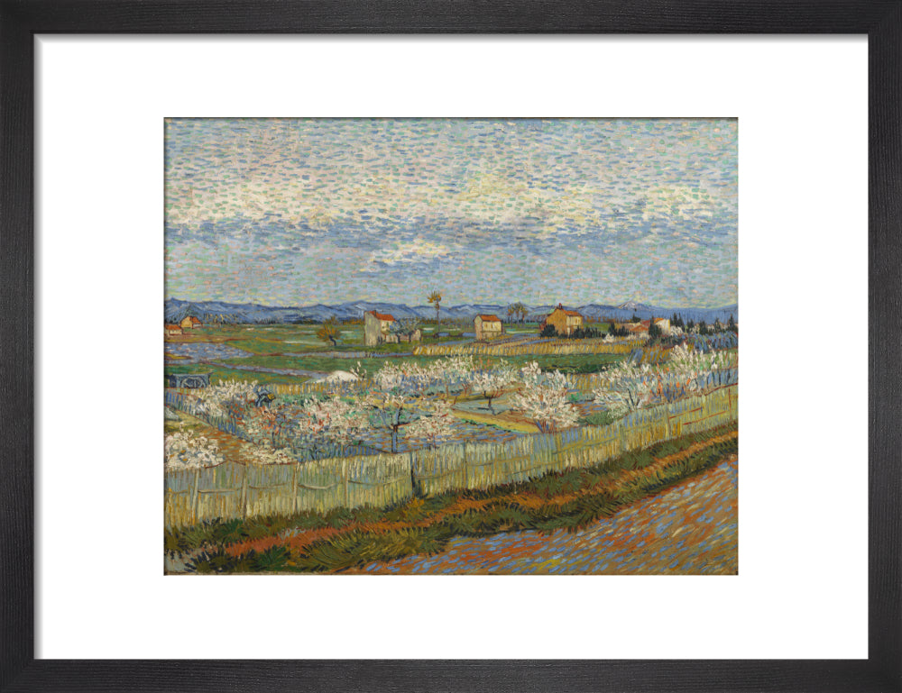 Peach Trees in Blossom, 1889
