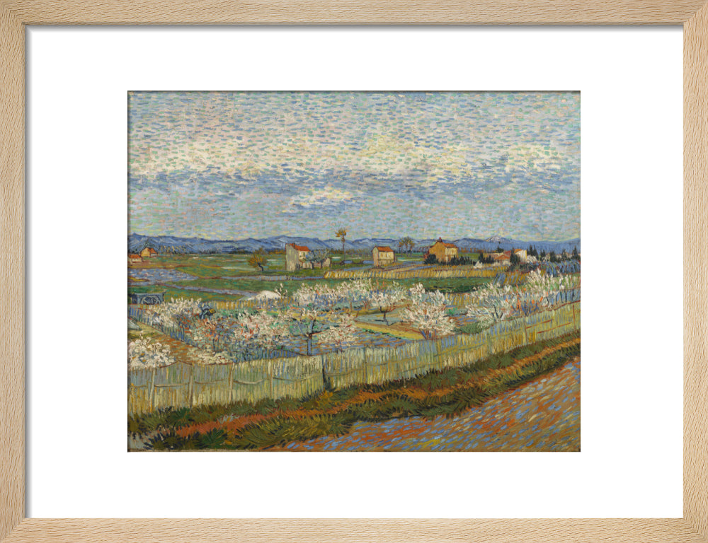 Peach Trees in Blossom, 1889