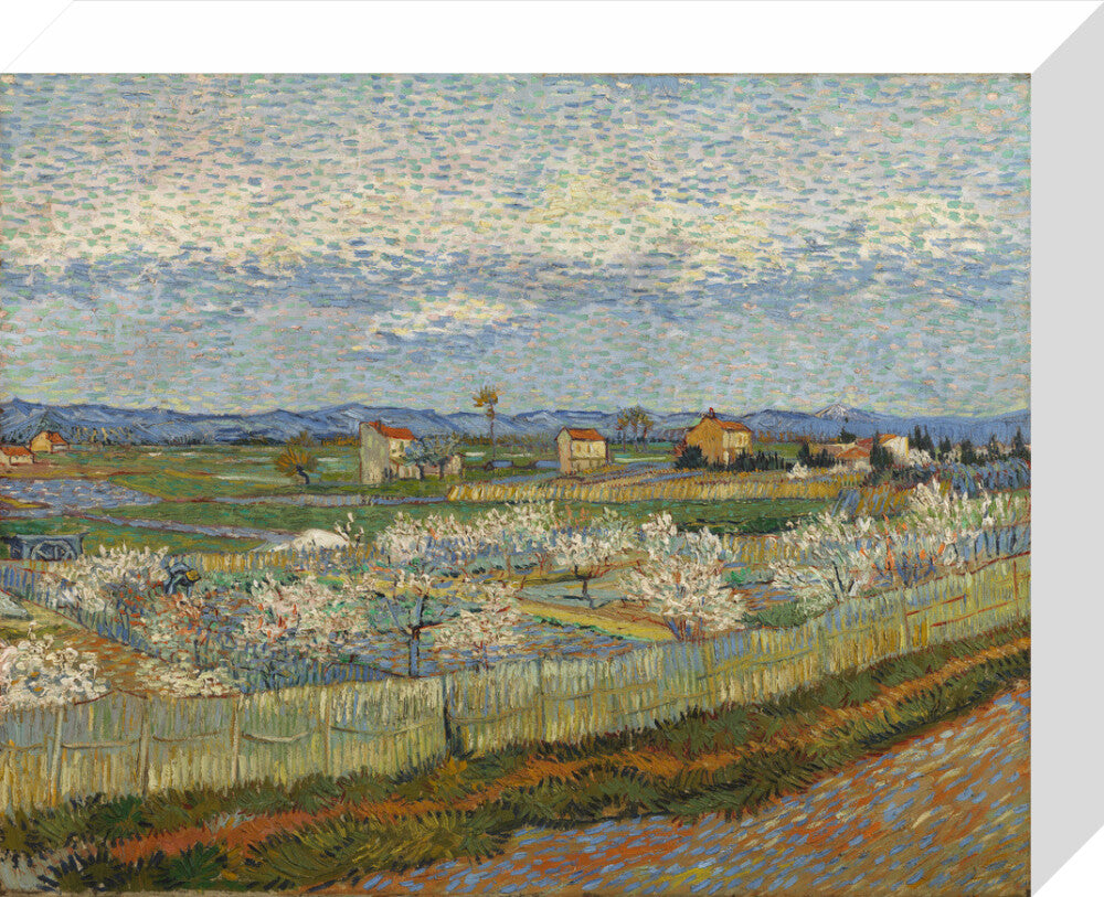 Peach Trees in Blossom, 1889