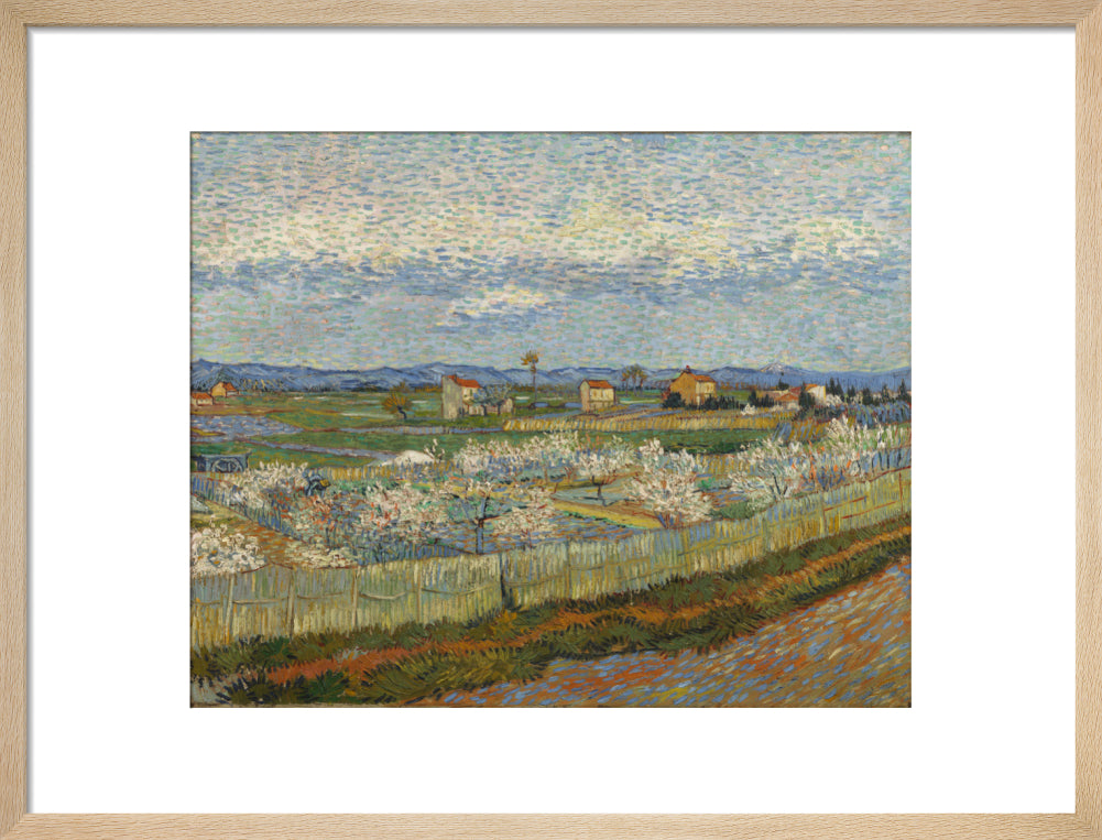 Peach Trees in Blossom, 1889