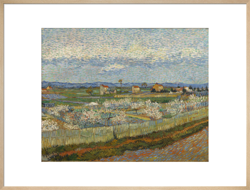 Peach Trees in Blossom, 1889