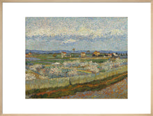 Load image into Gallery viewer, Peach Trees in Blossom, 1889
