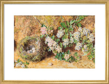 Load image into Gallery viewer, William Henry Hunt, Chaffinch Nest and May Blossom
