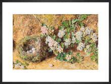 Load image into Gallery viewer, William Henry Hunt, Chaffinch Nest and May Blossom
