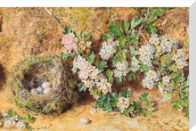 Load image into Gallery viewer, William Henry Hunt, Chaffinch Nest and May Blossom
