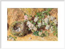 Load image into Gallery viewer, William Henry Hunt, Chaffinch Nest and May Blossom
