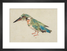 Load image into Gallery viewer, Italian School, Kingfisher
