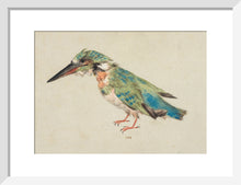 Load image into Gallery viewer, Italian School, Kingfisher
