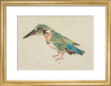 Load image into Gallery viewer, Italian School, Kingfisher
