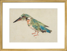 Load image into Gallery viewer, Italian School, Kingfisher
