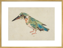 Load image into Gallery viewer, Italian School, Kingfisher
