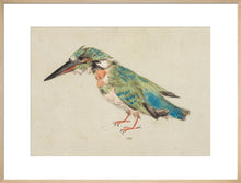 Load image into Gallery viewer, Italian School, Kingfisher
